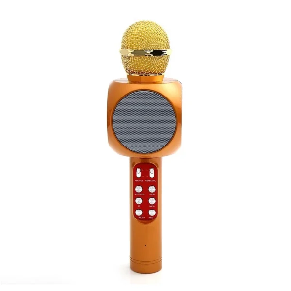 Wireless Microphone Bluetooth Speaker